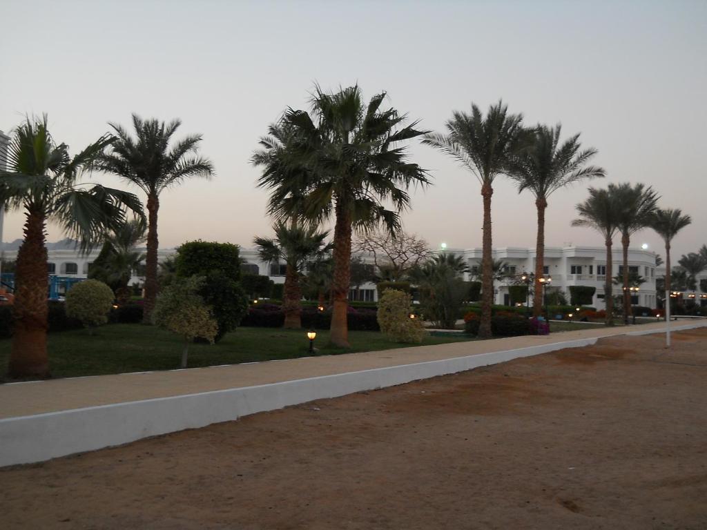 Royal Paradise Resort Sharm El Sheikk Exterior foto