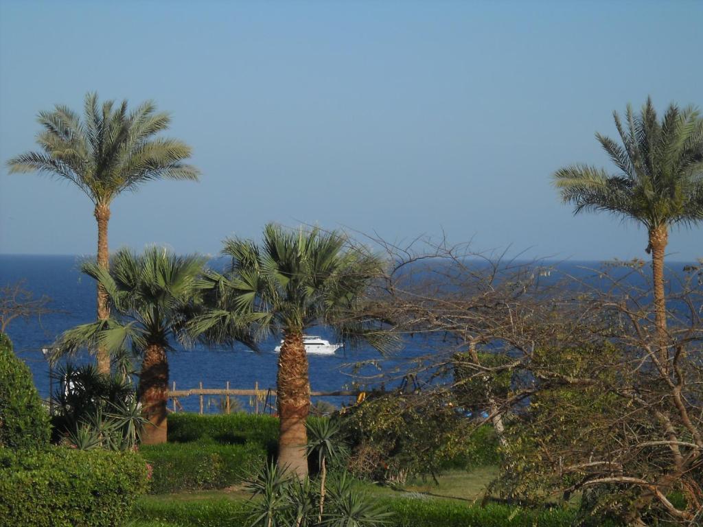 Royal Paradise Resort Sharm El Sheikk Exterior foto